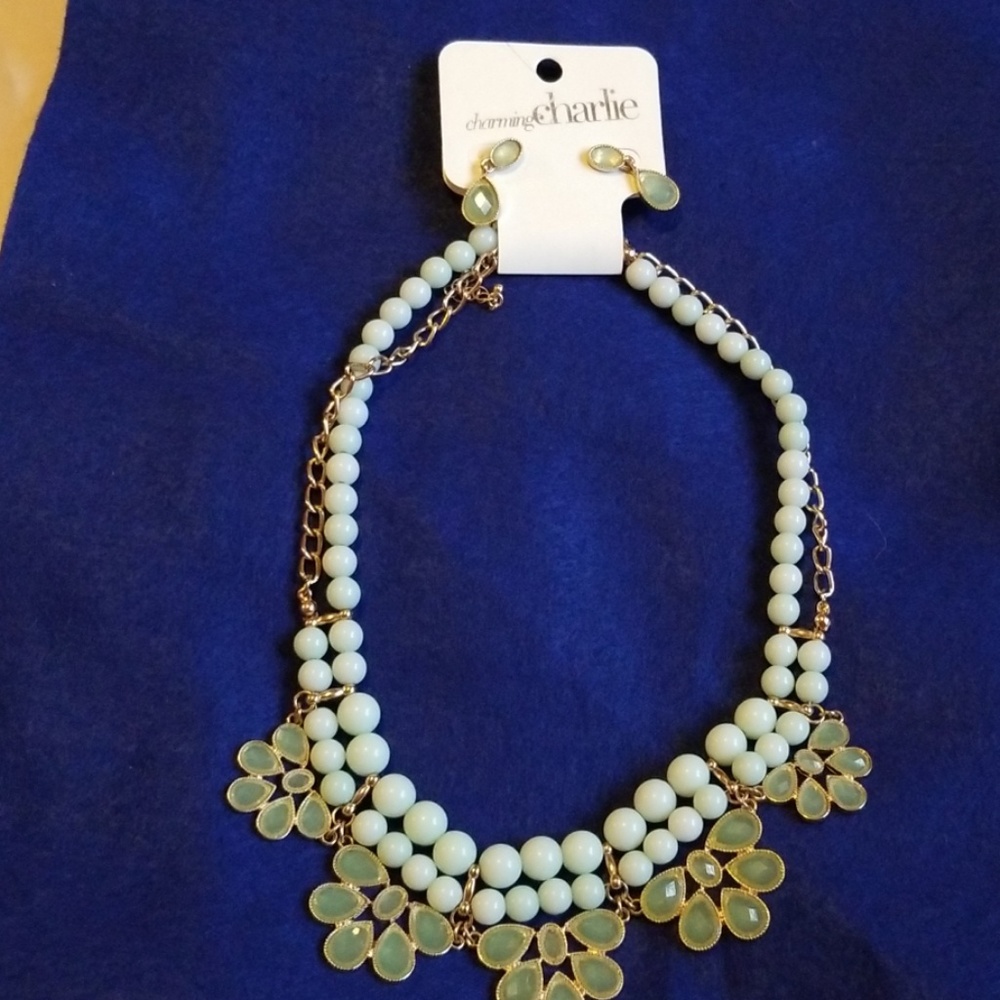 Charming Charlie necklace and Earring set